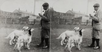 Man with two dogs.
Negative insc: 'Excelsior Stereoscopic Tours', 'English Setters - Mr Chapman's Kennels, Glenboig', 'Copyright 1897, by MR Wright'.