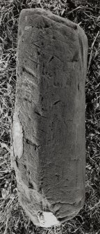 Detail of gravestone.