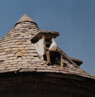 Doocot, opening for doves, detail