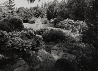 View of Garden to East showing pathway and planting