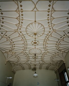 Drawing room, view of gilded plaster fan vaulted ceiling