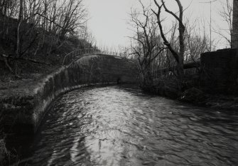 View of river embankment on Black Cart River at entrance to lade.