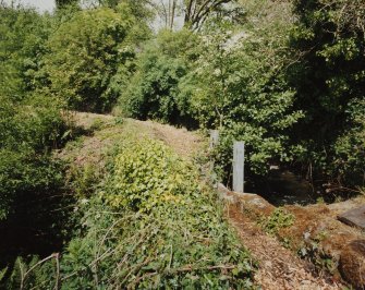 View from S of mill lade.