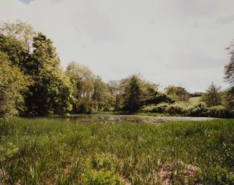 View of mill pond.