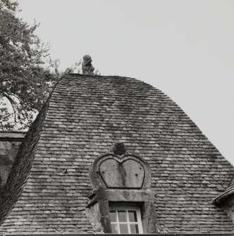 View of roof.