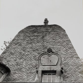 View of roof.