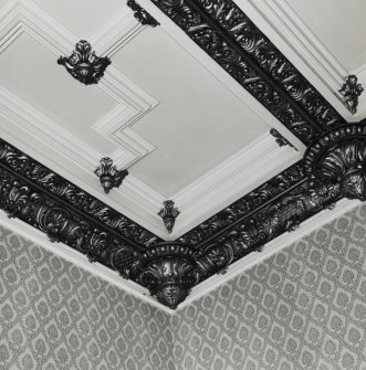 Interior.
Detail of ceiling in drawing room.