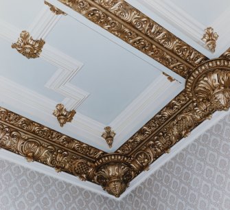 Interior.
Detail of ceiling in drawing room.