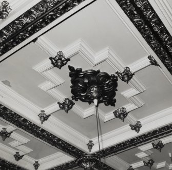 Interior.
Detail of ceiling in drawing room.