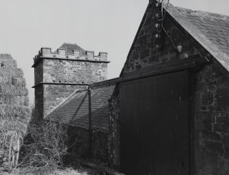 View of dovecot from NE.