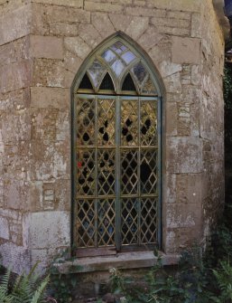 Detail of library window.