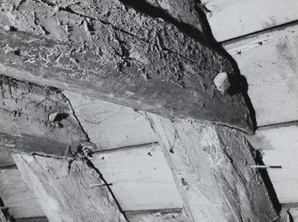 Interior.
Detail of roof structure.