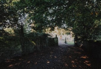 View of S entrance pathway.