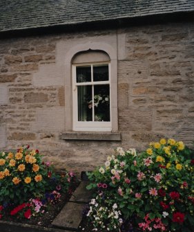 Detail of window