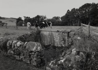 View of well