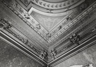 Dundee, Broughty Ferry, Camphill Road, Carbet Castle, interior.
View of ground floor dining room cornice.