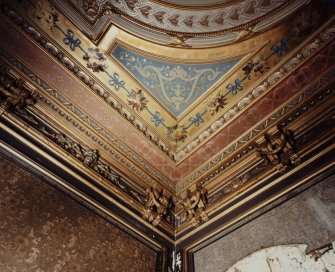 Dundee, Broughty Ferry, Camphill Road, Carbet Castle, interior.
Detail of cornice of Ground Floor Dining Room.