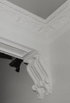 Interior. Detail of plasterwork