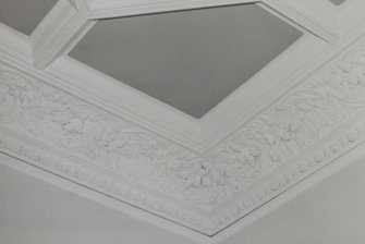 Interior. Detail of plasterwork