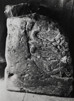 Fragment of medieval grave-slab.
Original glass negative captioned 'Tealing Angus carved stones/August 1938'.
Annotated mount states that stone was later removed from Tealing to Fotheringham.