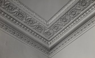 Ballindean House.
Interior detail of ceiling cornice and frieze in first floor sitting room.
