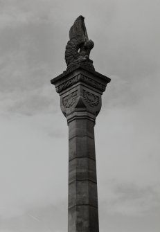 Detail from S showing upper shaft of column surmounted by pelican symbolizing sacrifice