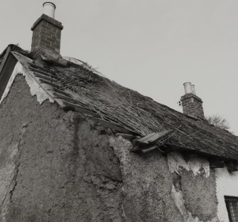 Detail of thatch