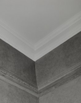 Interior. Detail of first floor library cornice