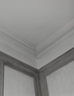 Interior. Detail of first floor drawing room cornice