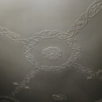 Fingask Castle, interior.
Detail of decorative plasterwork in first floor drawing room.