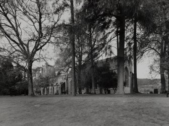 View of Cathedral and ruins of Cathedral from SE through trees