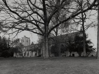 View of Cathedral and ruins of Cathedral from SSE through trees