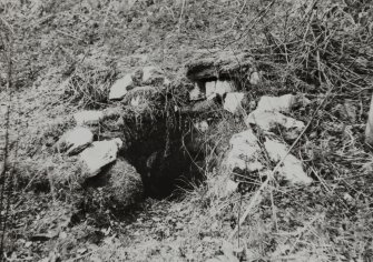 Inchadney Holy Well.
General view of well with stone surround.