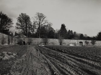 Kilgraston House, Walled Garden.
General view of East wall from West.