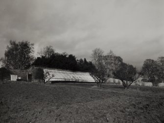 Kilgraston House, Walled Garden.
General view of North wall from South.