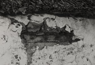Detail of thatch and wooden lintel.