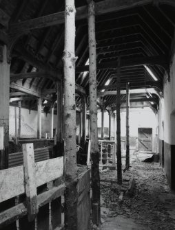 Interior. View of main byre showing roof structure and stalls