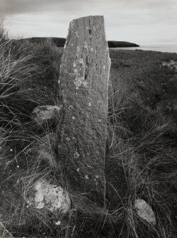 View of face a of cross-marked stone, number.3, from Chapel site on Isle of Pabbay.