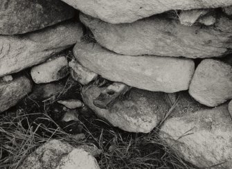 Blackhouse C, Village.
View of South building interior ?, tethering ring.