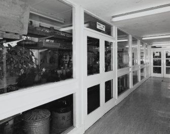 Interior Art/Technical block link. Detail of greenhouse area