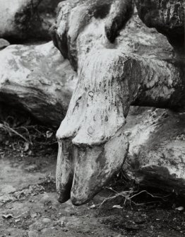 Lead sculpture by Charles Mackie in garden to South of main house, detail of hoof.