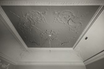 Edinburgh, 87 Giles Street, The Black Vaults, interior.
View of ceiling in the The Vintners Room, with a foliate design.