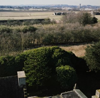 View from roof  W showing walled garden