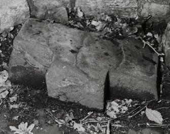 Garden feature, ground, sculptured stone (fragment), detail