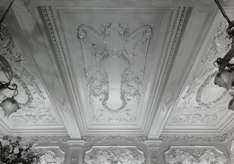 Interior. Foyer ceiling. Detail