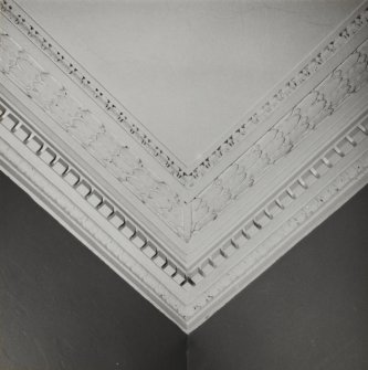 52 Melville Street, interior.
Detail of cornice.