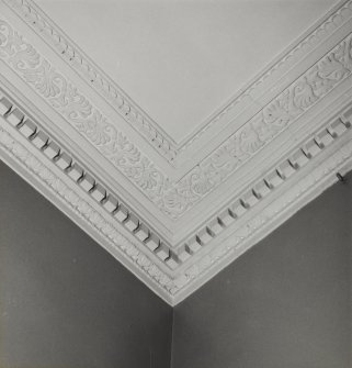 52 Melville Street, interior.
Detail of cornice.