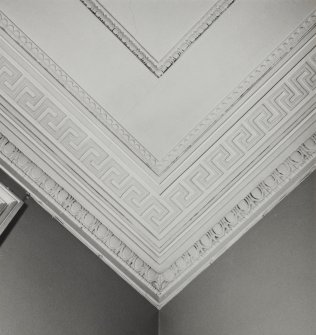 52 Melville Street, interior.
Detail of cornice.