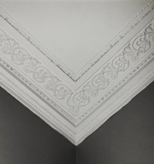 52, 54, 56 Melville Street, interior.
Detail of cornice.