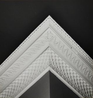 52, 54, 56 Melville Street, interior.
Detail of cornice.